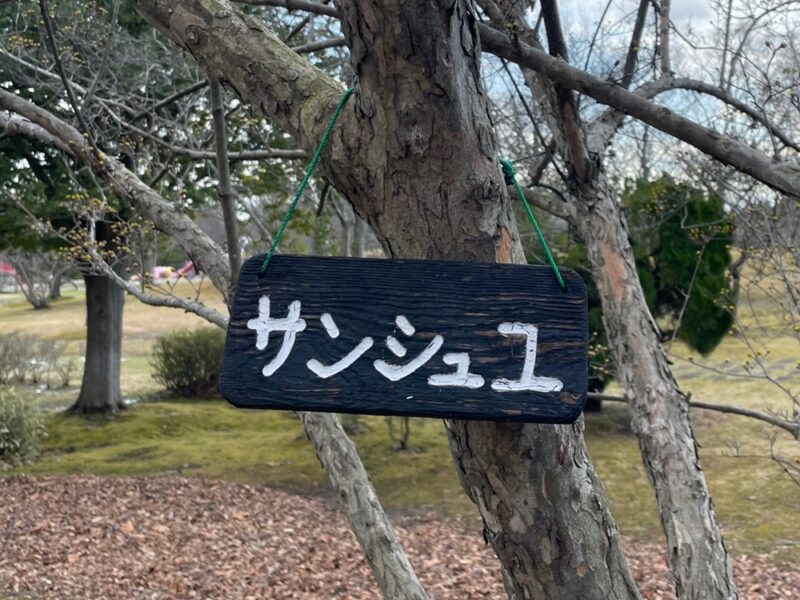 4/19（日）都市緑化ホール　市民園芸講座　～ナナキタ player1 project～　「木の名札（樹名板）づくり」