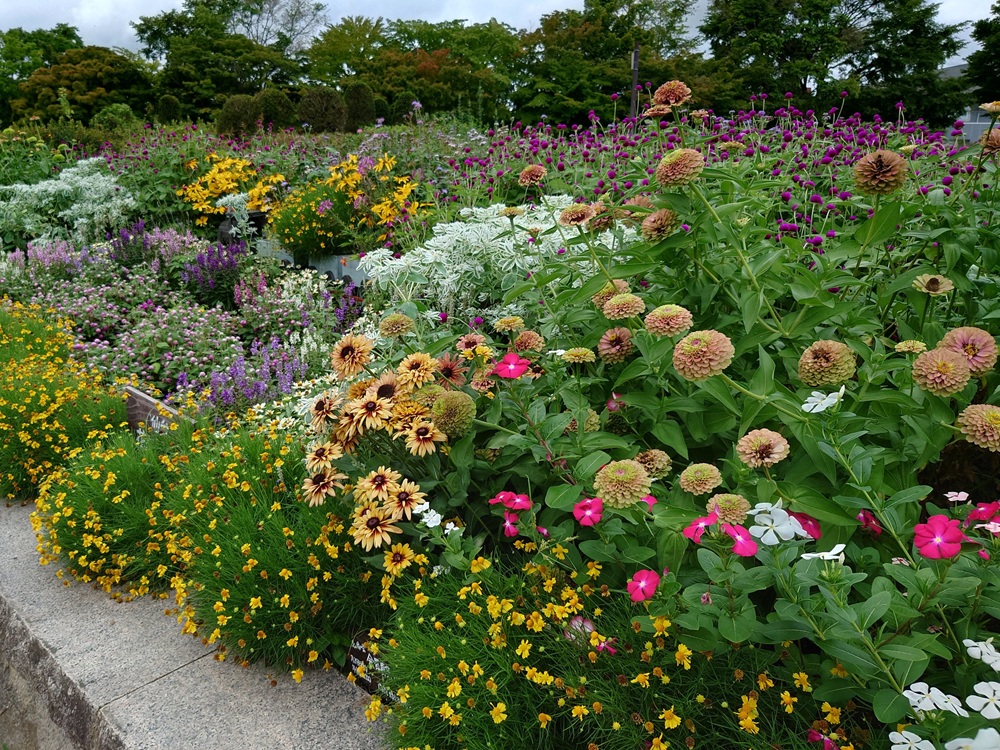 4/22（水）都市緑化ホール　市民園芸講座「種まき体験・夏の花育ててみませんか？」