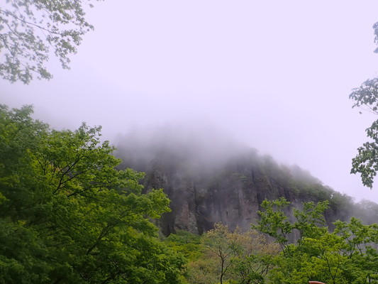 4/25（土）太白山自然観察の森　「春の秋保二口林道ウォーキング」