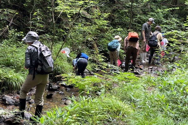 6/27(土)　水辺のいきもの探し　青葉の森緑地