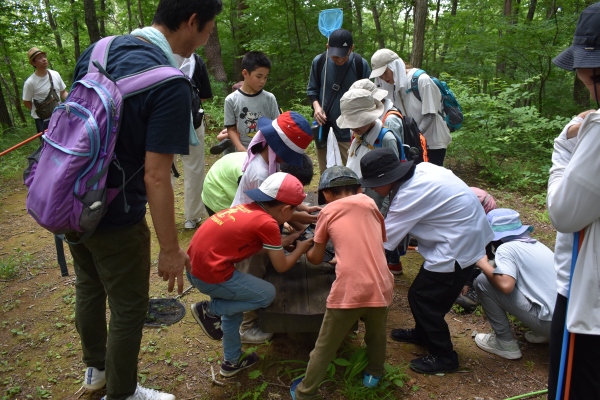 7/5（日）親子で虫あそび（小学生編）　青葉の森緑地