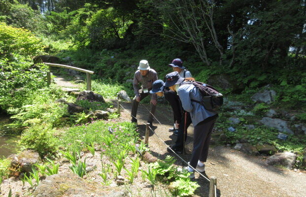毎週土曜日　野草園　園内ガイド