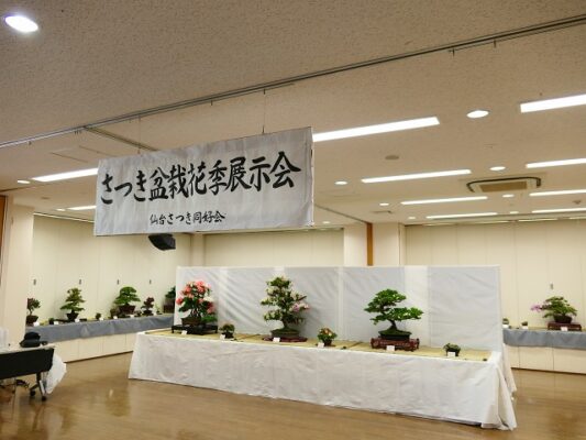 6月5日(金)～6月7日(日)さつき盆栽花季展示会