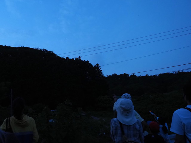6/20（土）太白山自然観察の森　夜の森の観察会