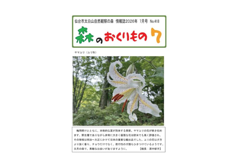 森のおくりもの７月号表紙