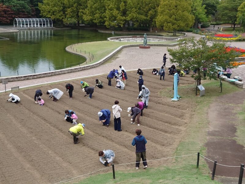 10/17（土）都市緑化ホール　市民園芸講座　～ナナキタ player1 project～　「アイスガーデンにネモフィラの種をまこう」