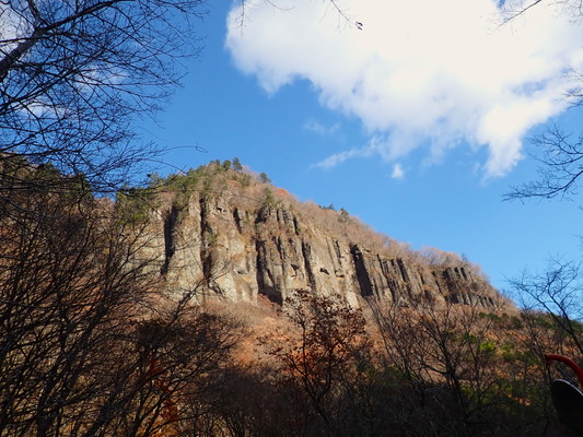 11/7（土）太白山自然観察の森　晩秋の秋保二口林道ウォーキング